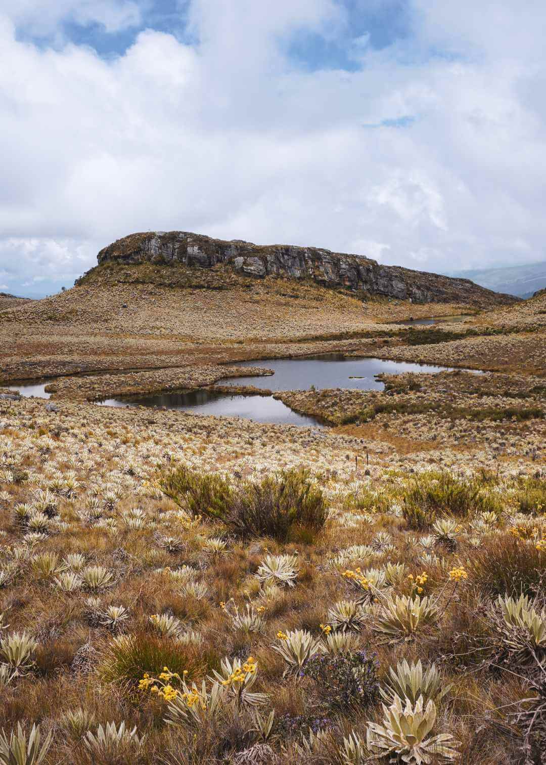 Tour a Sumapaz desde Bogotá