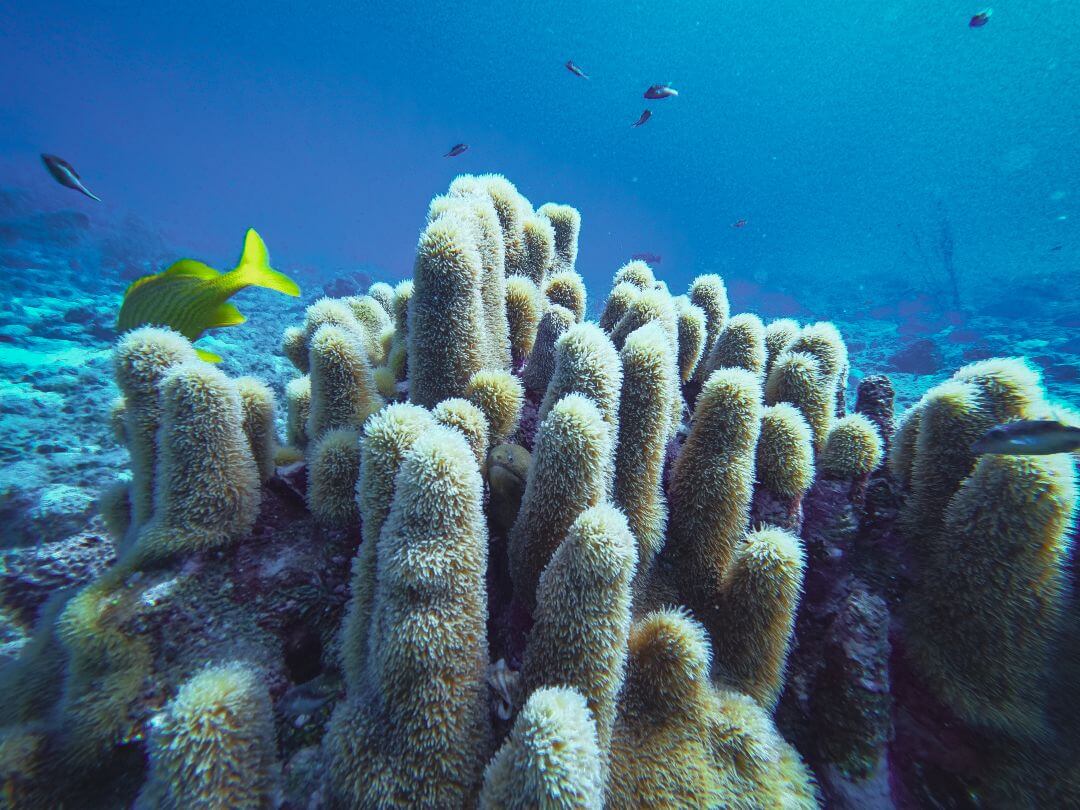 Actividades en San Andrés