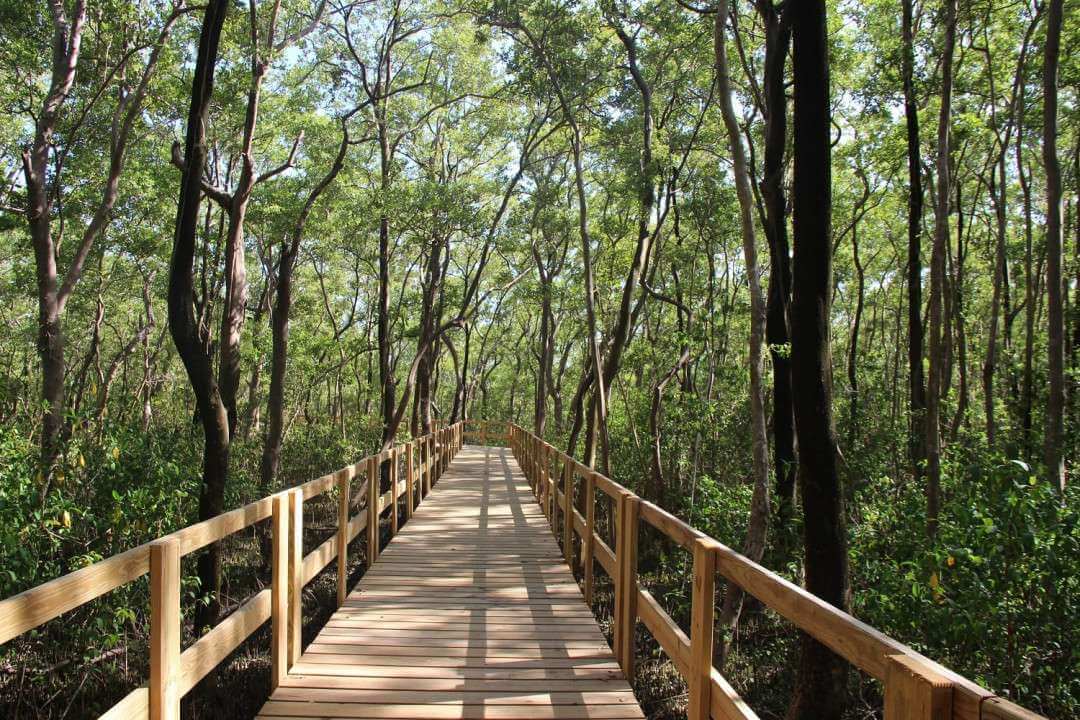 Parque Regional de Mangle Old Point