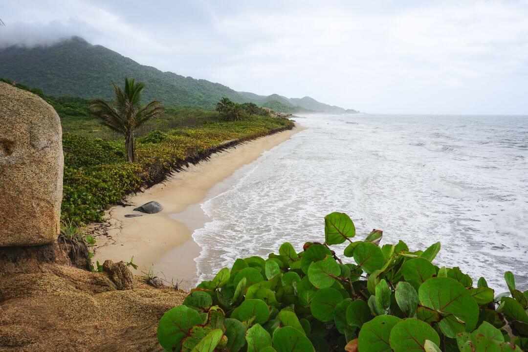 Playas Parque Tayrona