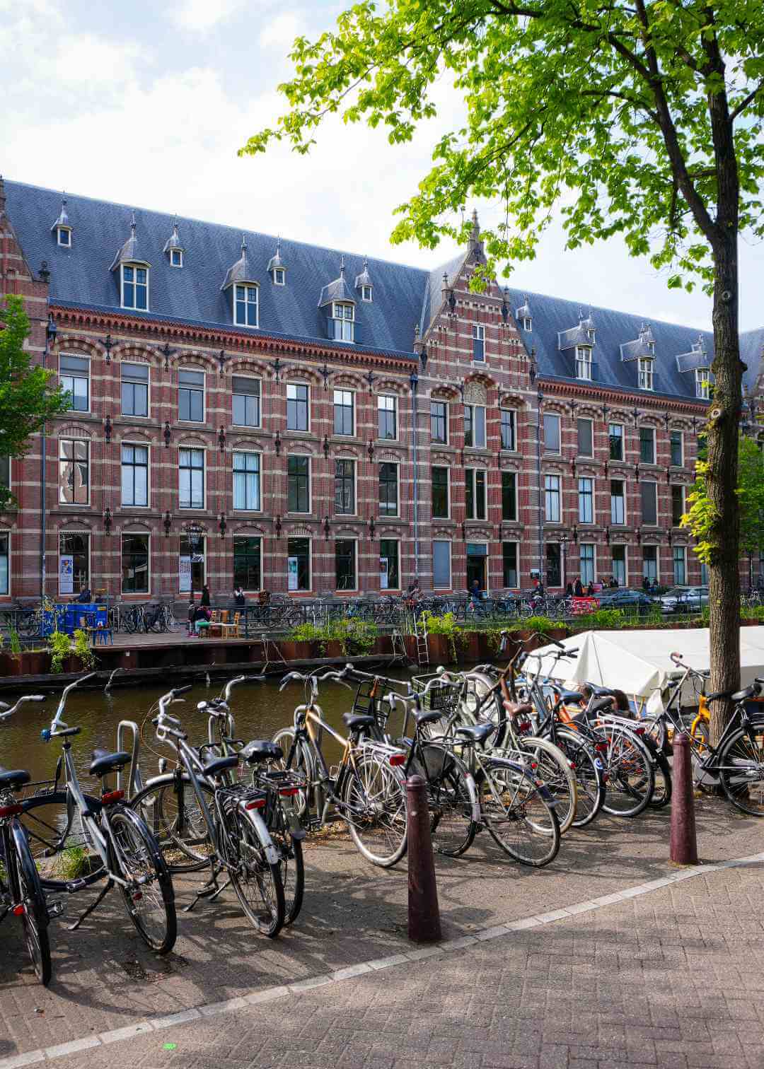 Qué ver en Ámsterdam Países Bajos