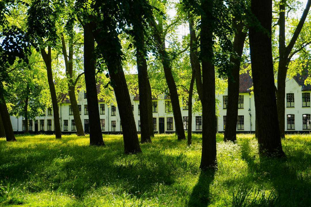 Begijnhof de Brujas Bélgicas