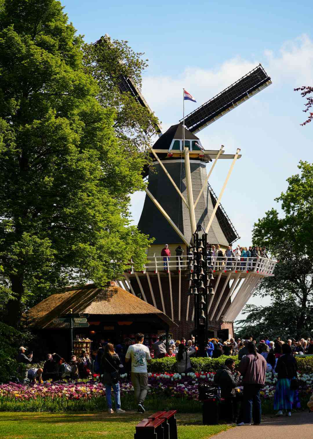 Molino de viento en Keukenhof