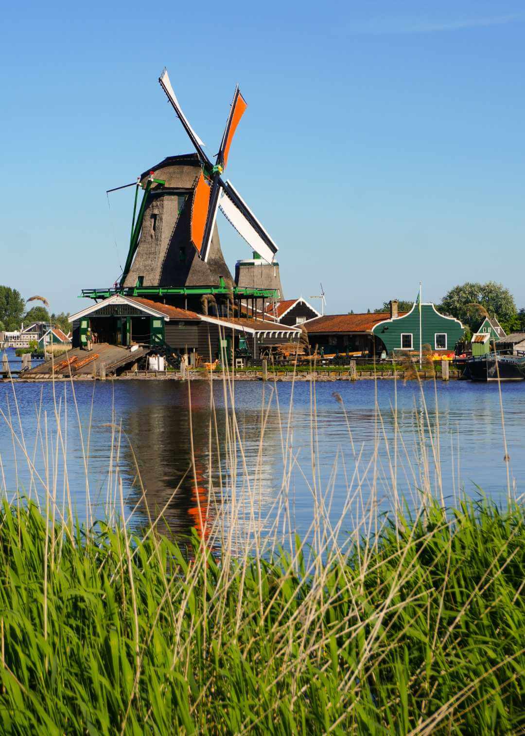 Molinos viento Zaanse Schans