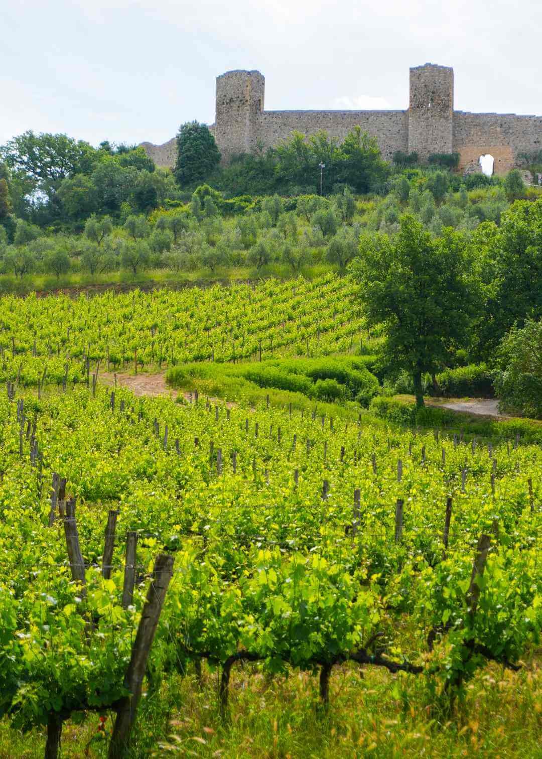 Murallas de Monteriggioni
