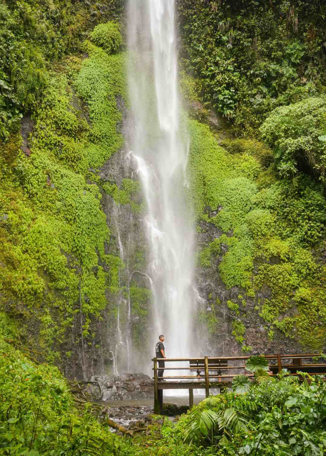 Cascada Los Frailes Pereira