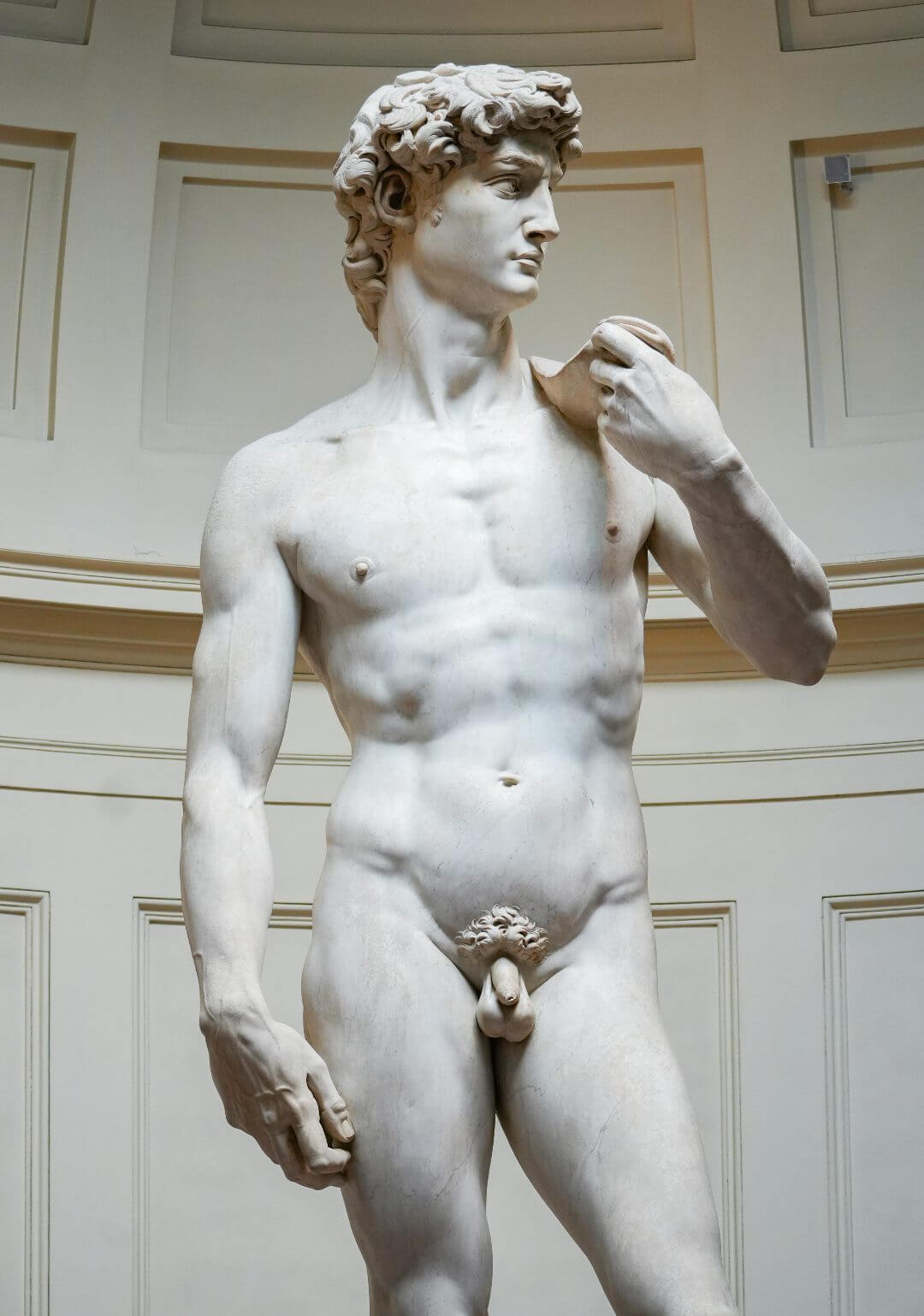 David de Miguel Ángel