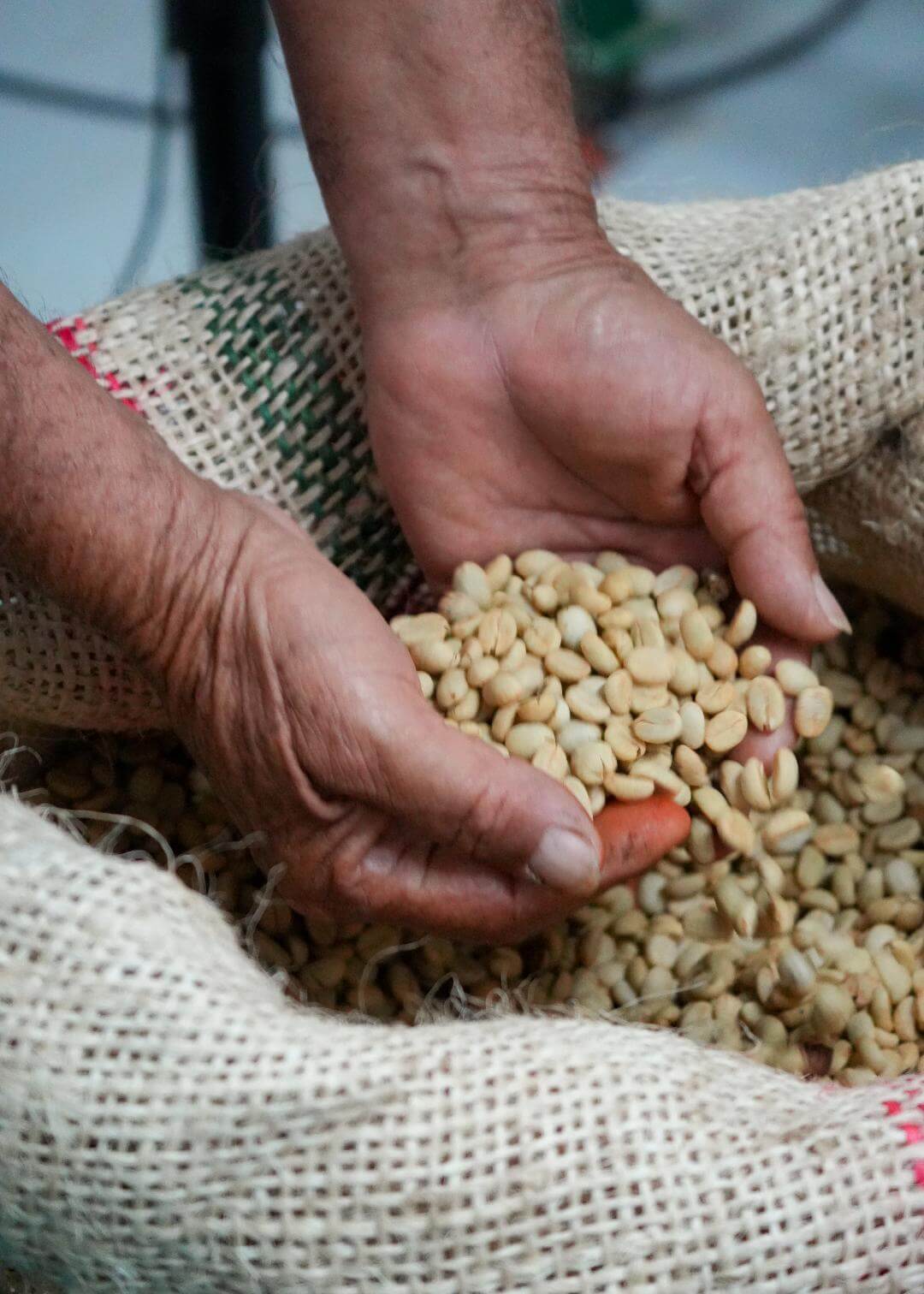 Granos de café