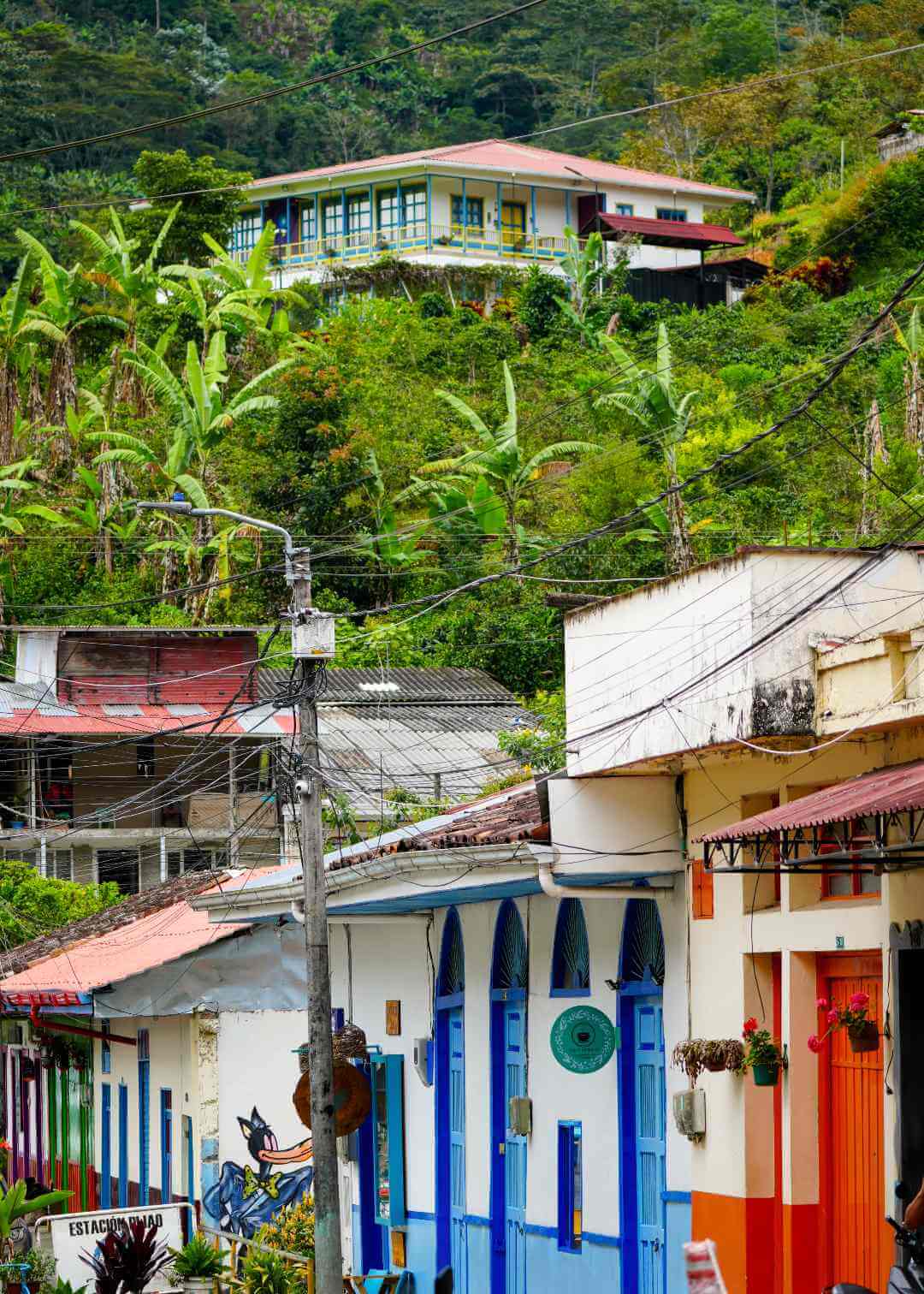 Paisaje Cultural Cafetero