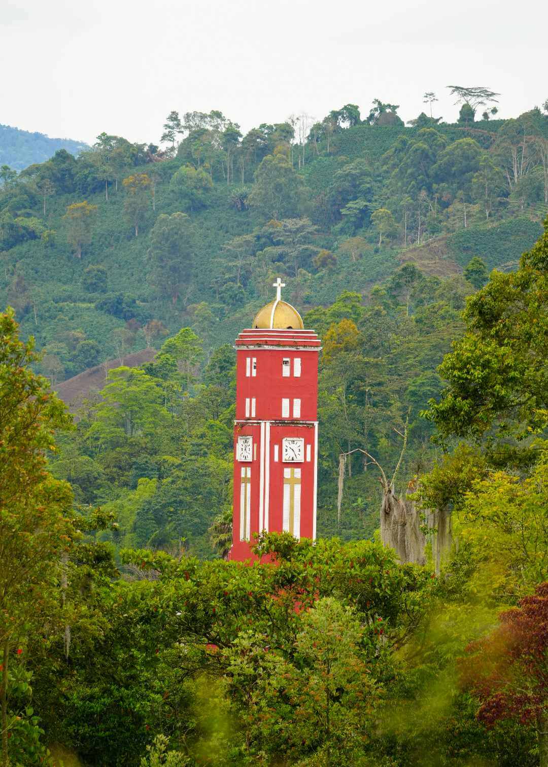 Paisaje en Pijao