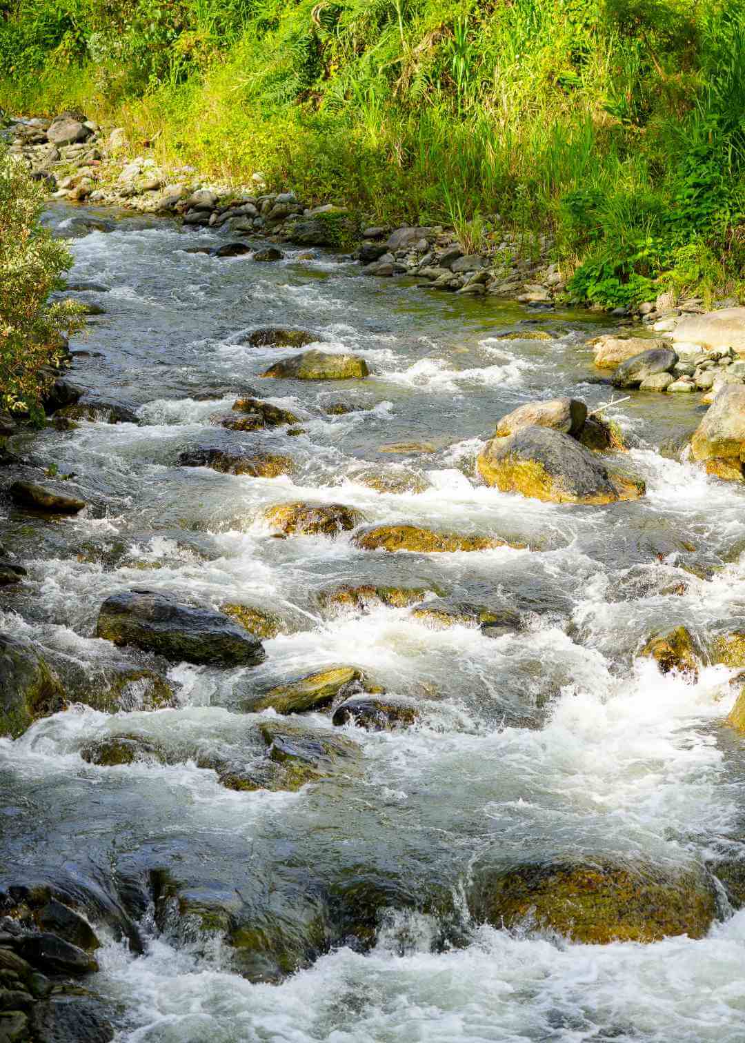 Río Lejos Pijao