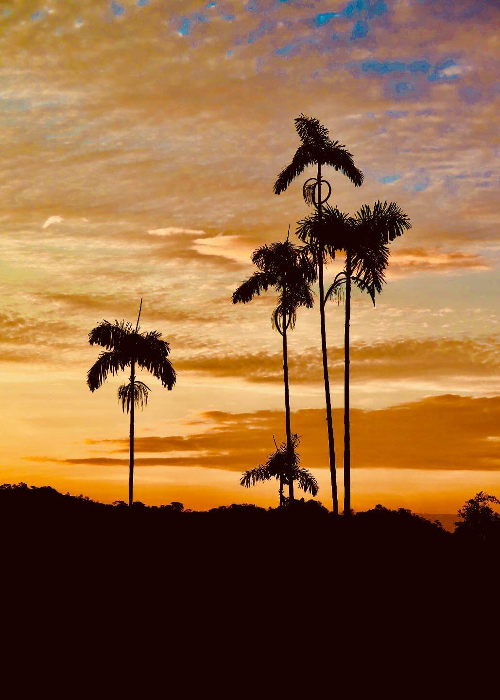 Atardecer en Lejanías Meta