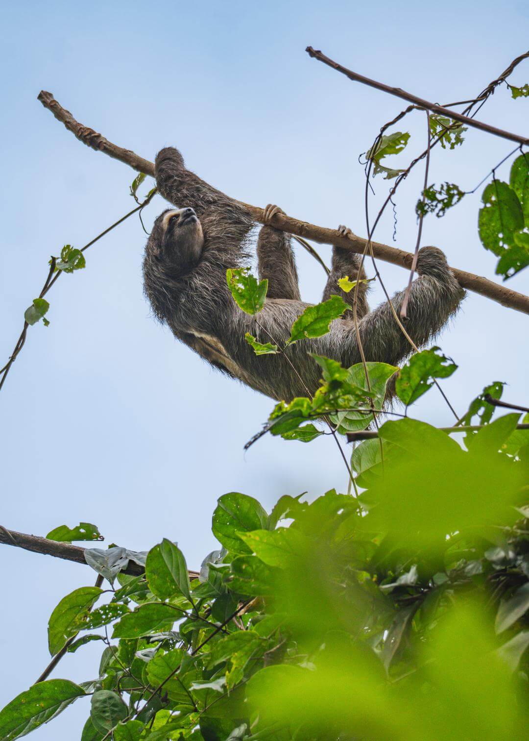 Qué ver en Ciudad de Panamá