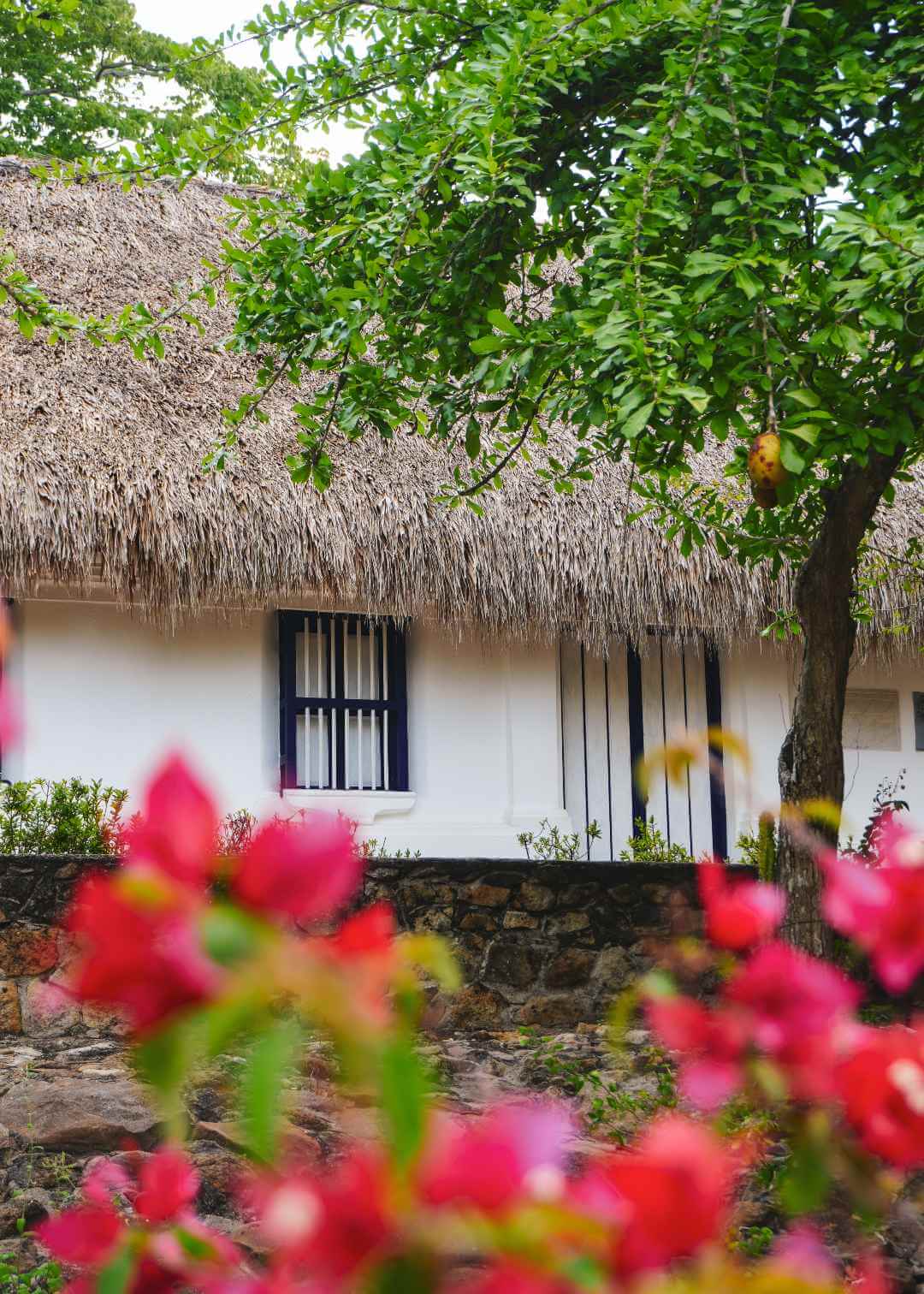 Casa Museo Julio Flórez