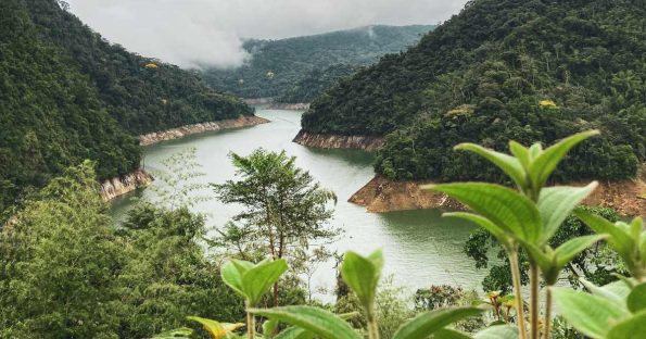 Cómo llegar a Norcasia desde Bogota Medellin