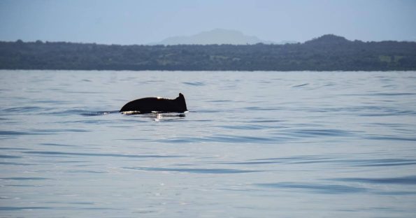 Islas del Rosario Colombia