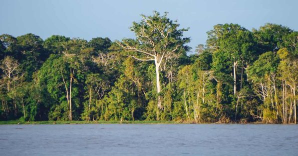 Planes al Amazonas