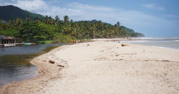 Playas y río Palomino