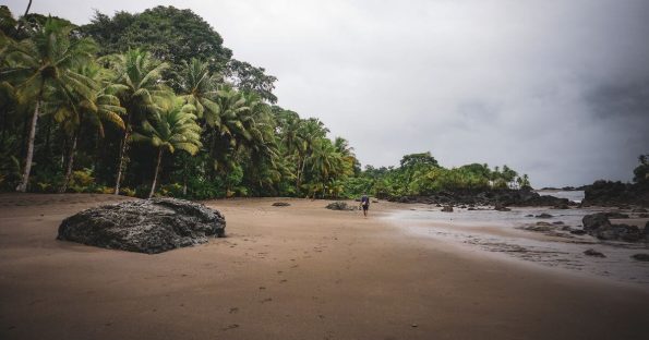 Selvas colombianas para visitar